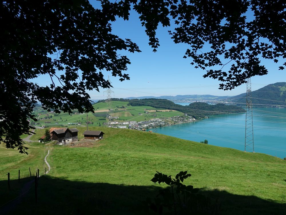 Holzgang, Immensee am Zugersee