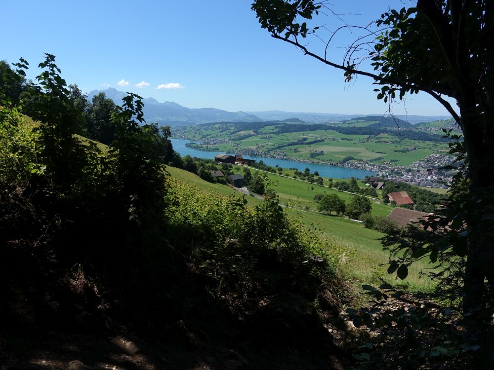 Richberg und Vierwaldstättersee