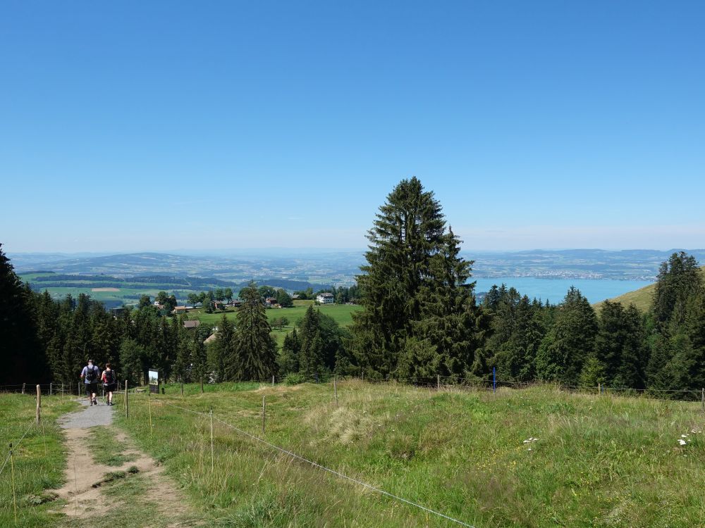 Seebodenalp und Zugersee