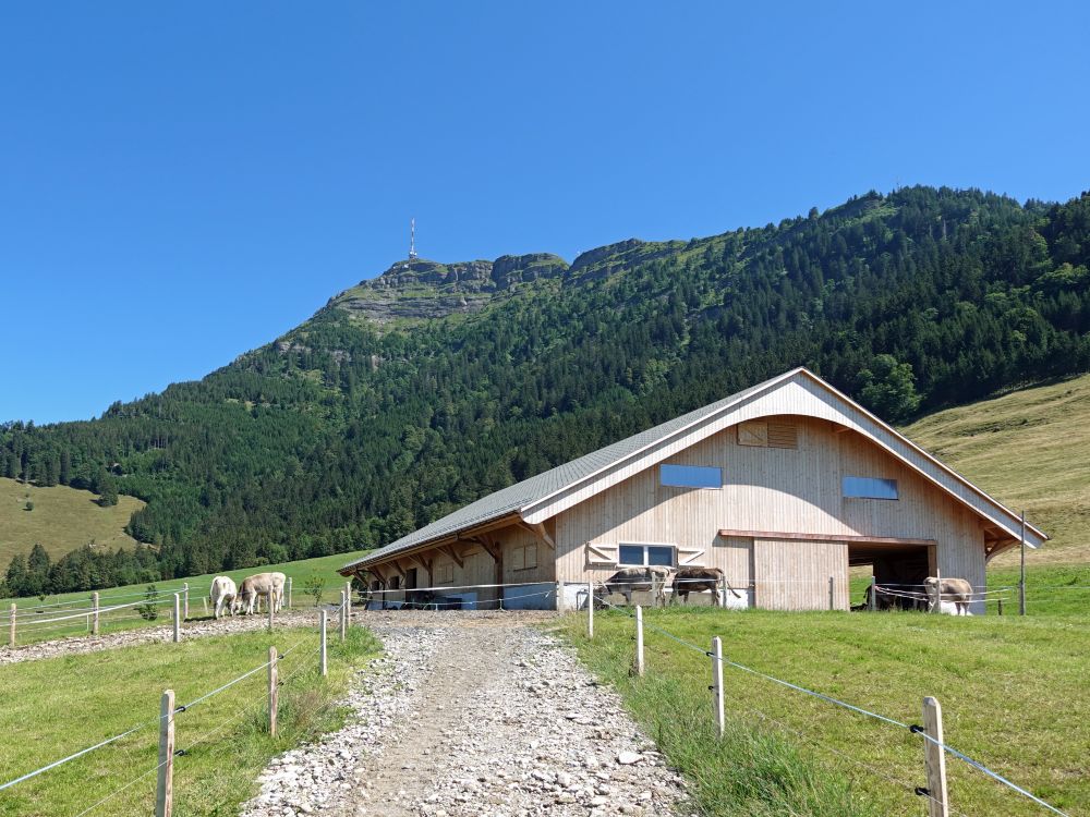 Rigi und Stall am Stockboden