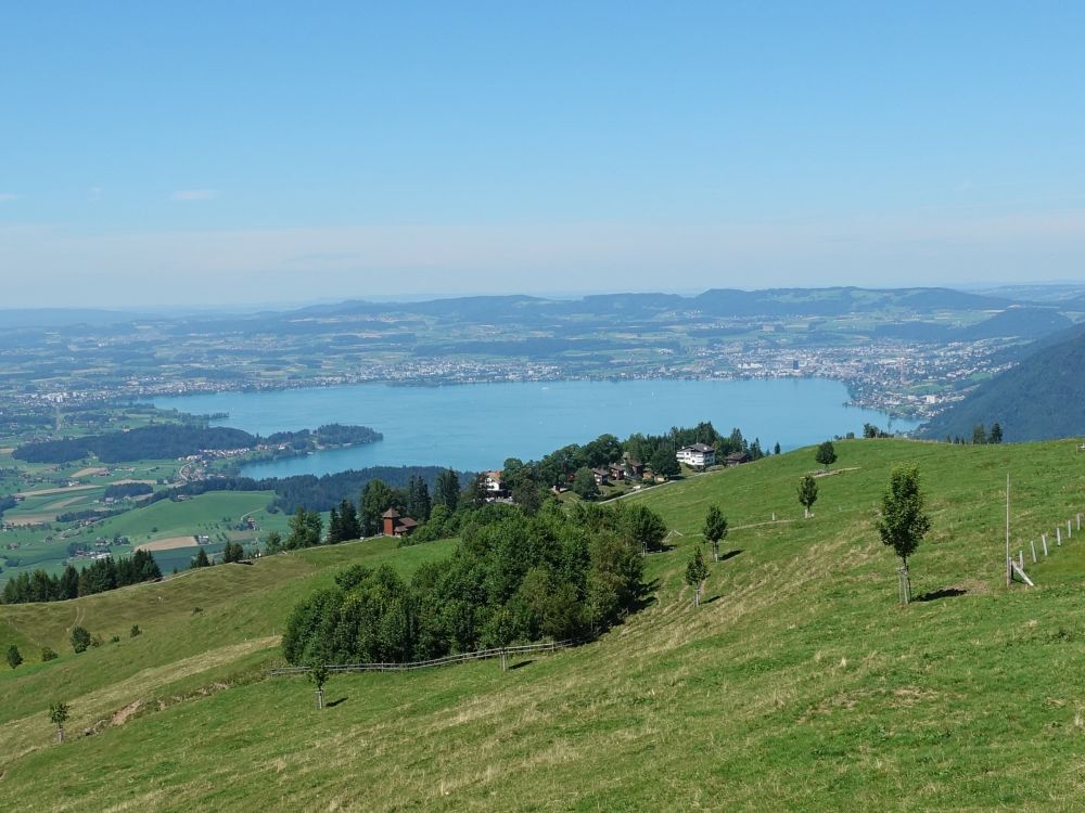 Seebodenalp und Zugersee