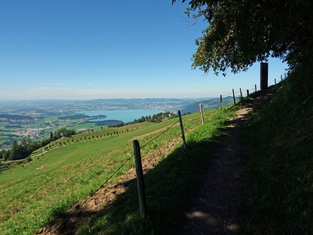 Seebodenalp und Zugersee