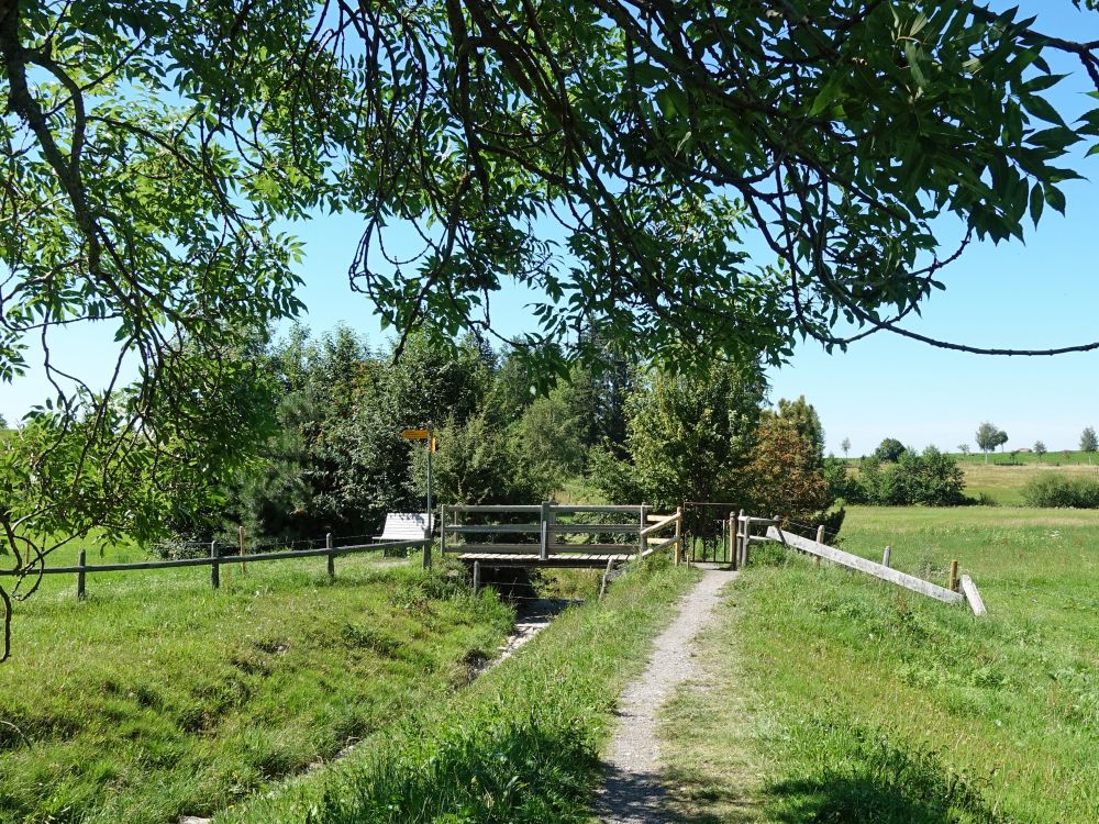 Wanderweg bei Hinter Boden