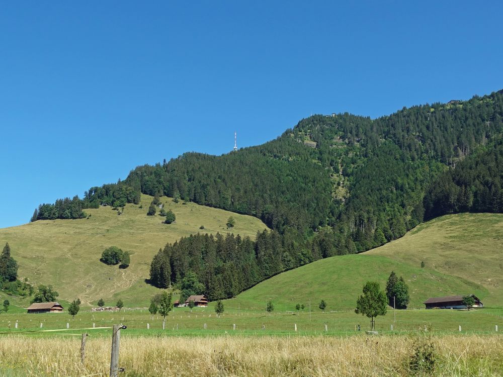 Hinter Boden unter der Rigi