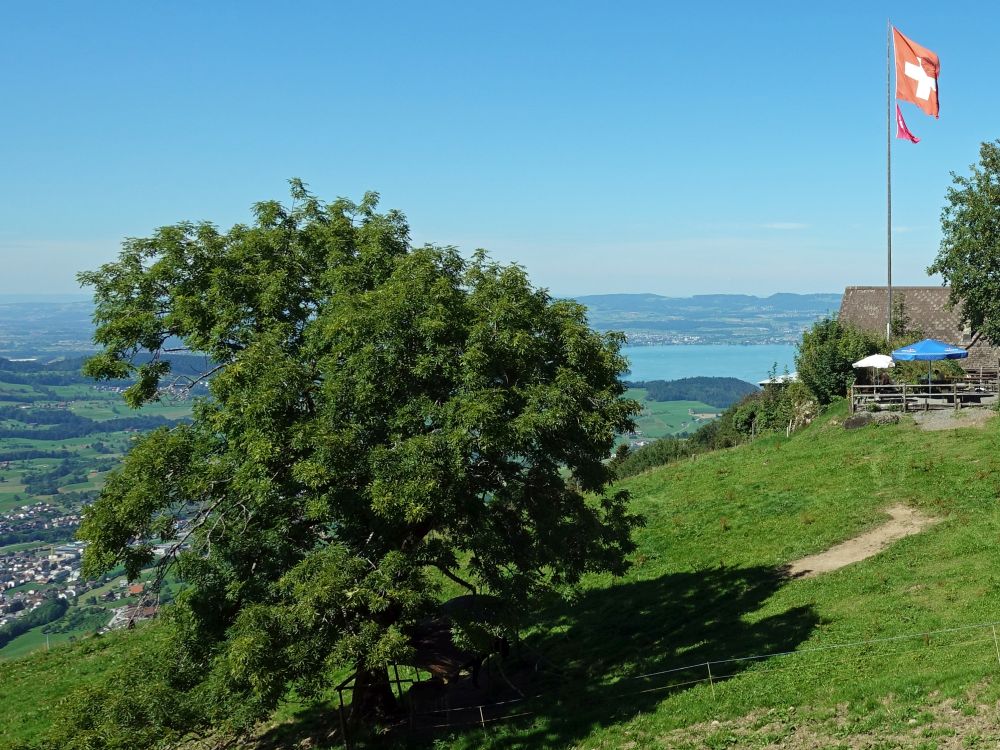 Ruodisegg und Zugersee