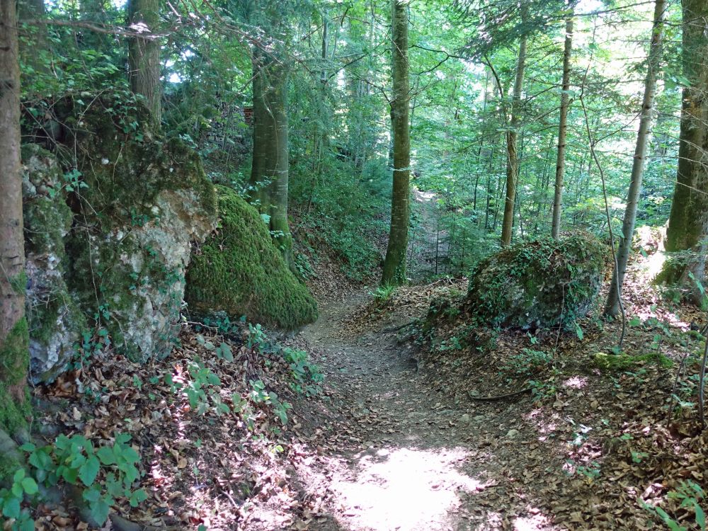 Waldweg