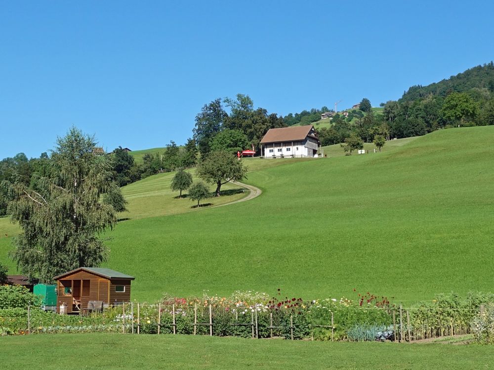 Garten beim Alpenhof