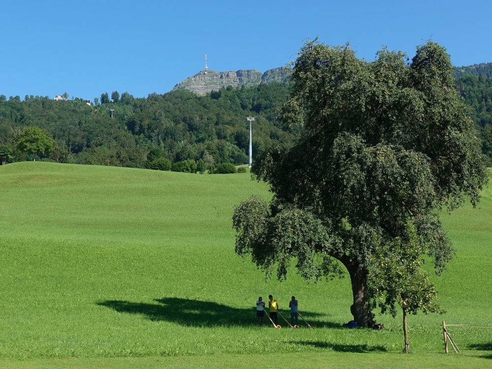 Alphornbläser im Schatten und Rigi