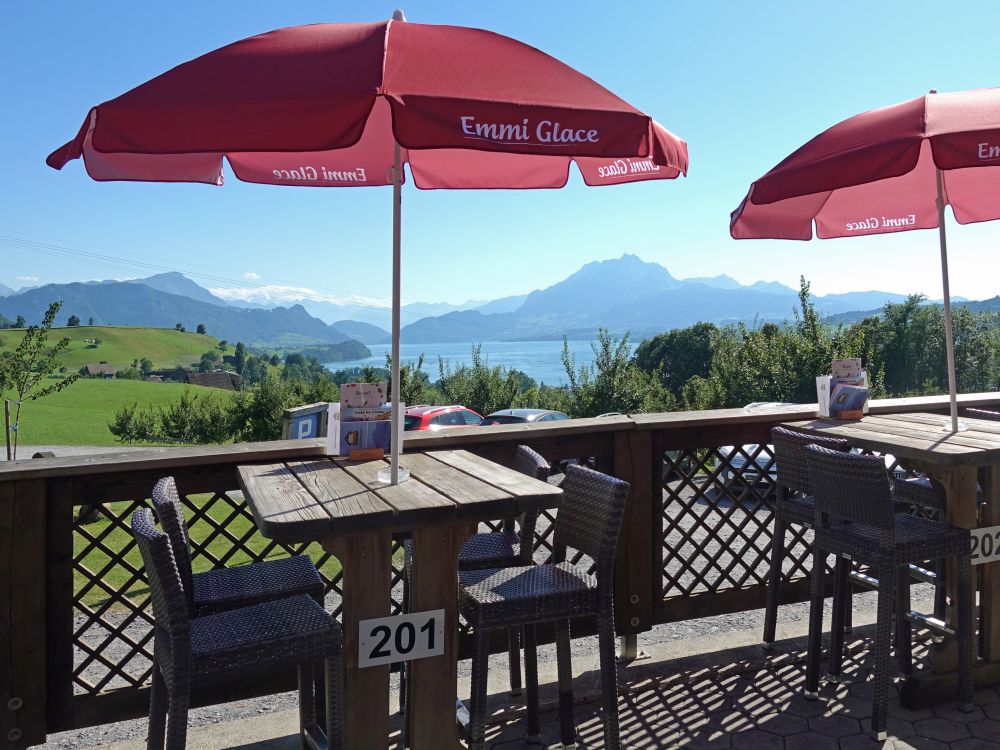 Terrasse Restaurant Alpenhof