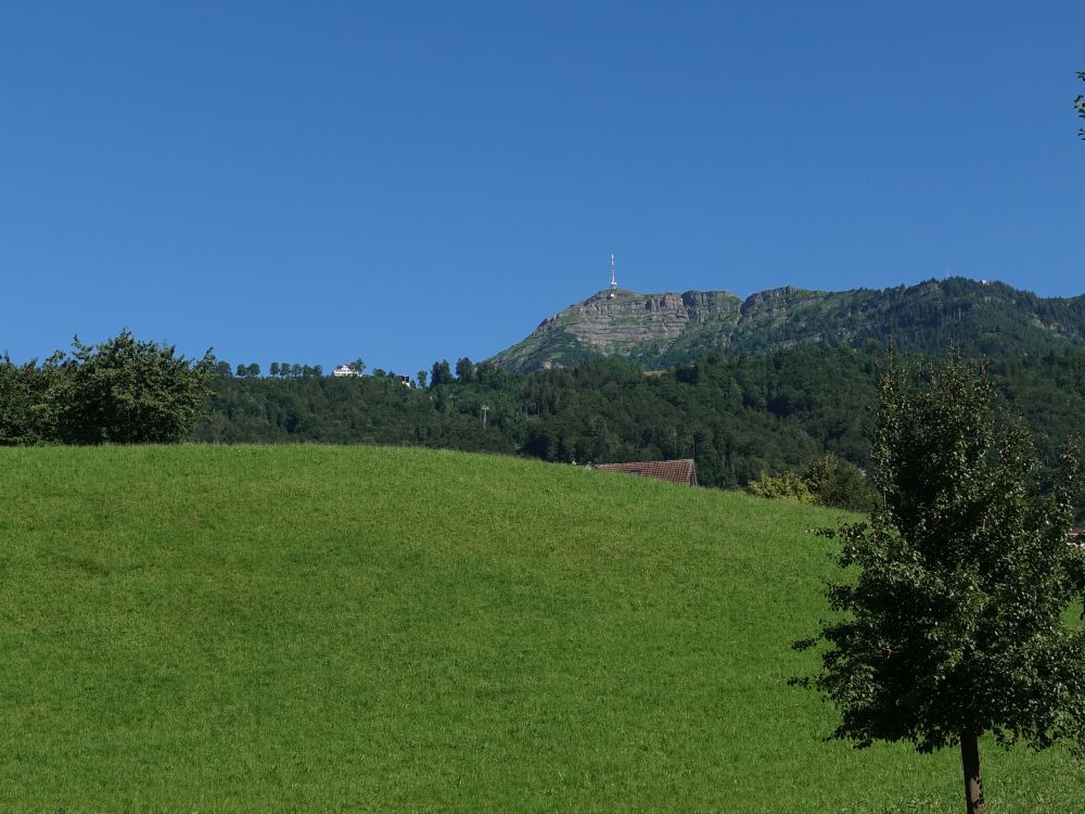 Hotel Seebodenalp und Rigi