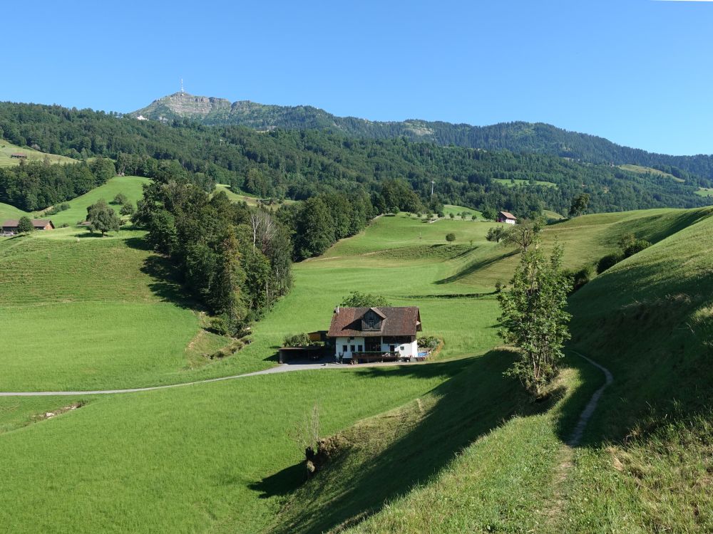 Haus bei Müliweid und Blick auf Rigi Kulm