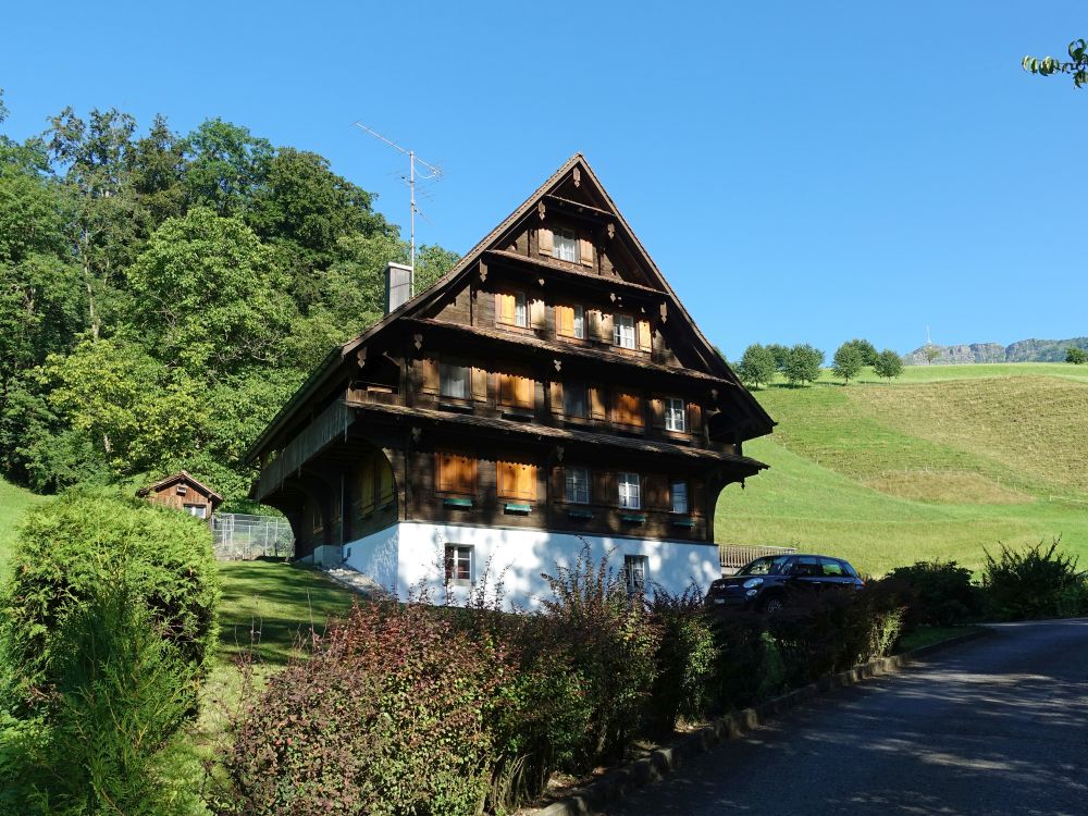Schweizerhaus bei Mülirain