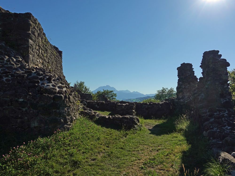 Gesslerburg und Pilatus