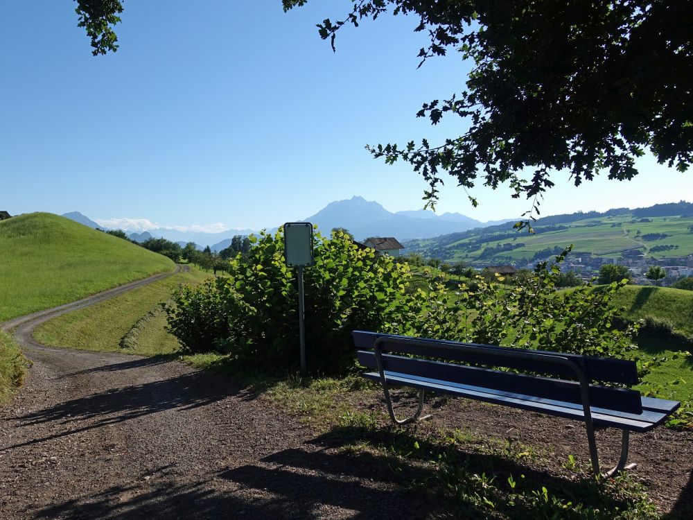 Ruhebank mit Blick zum Pilatus