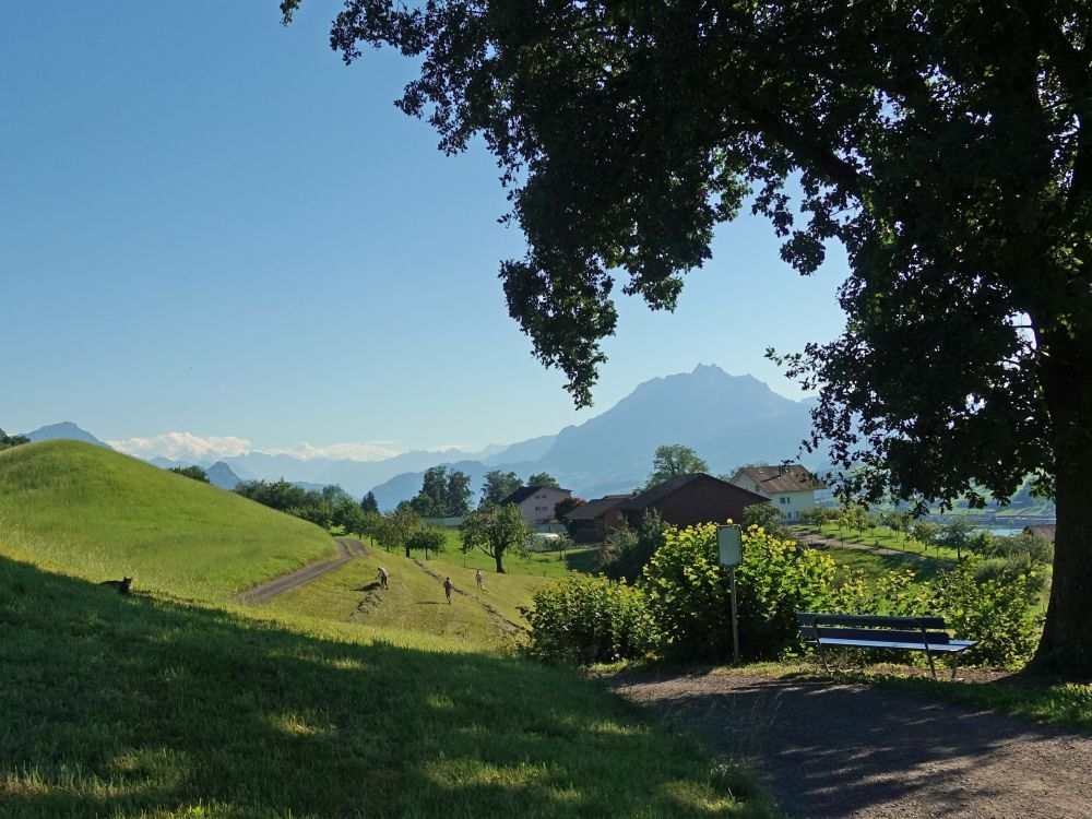 Heuernte und Blick zum Pilatus