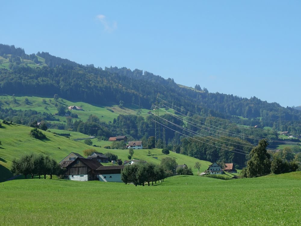 Bauernhöfe über Siebnen