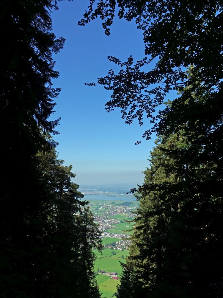 Blick durch eine Baumlücke