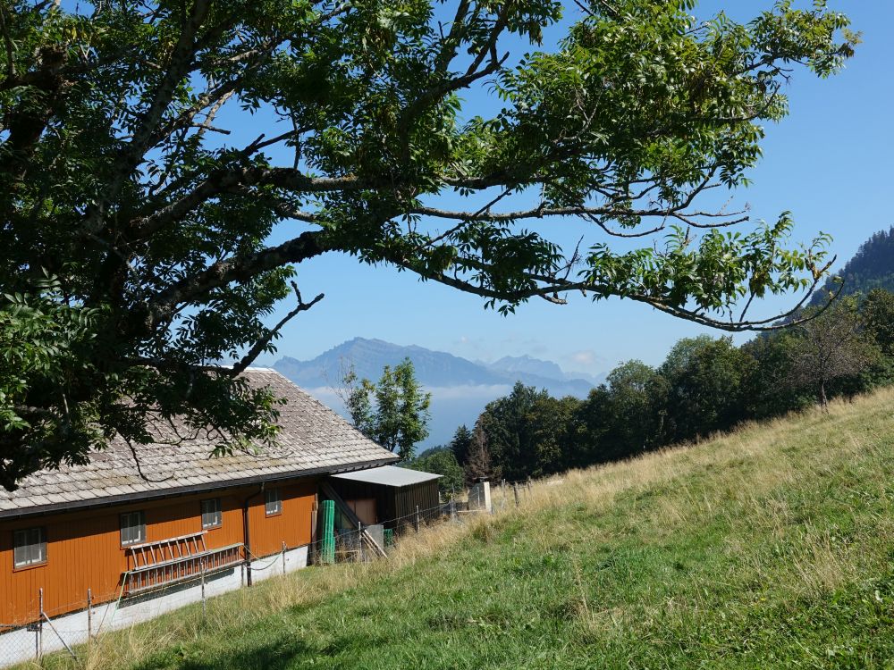 Unter Trostel mit Federispitz