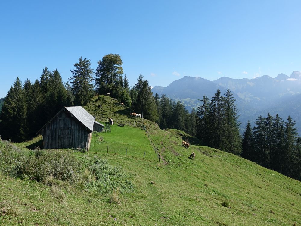 Stall auf dem Stockberg