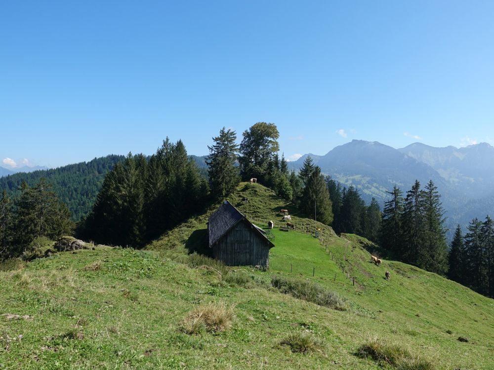 Stall auf dem Stockberg