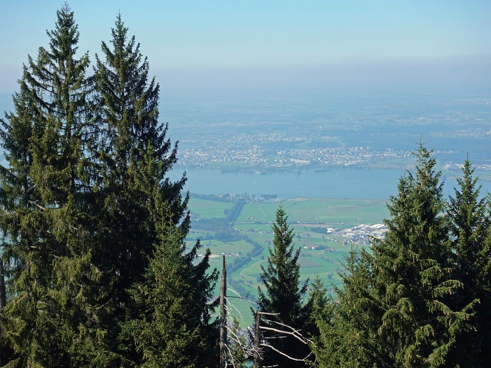 Blick zum Zürichsee