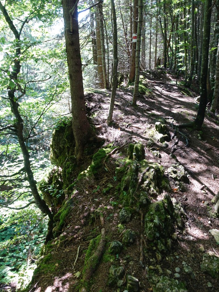 Bergpfad am Stockberg