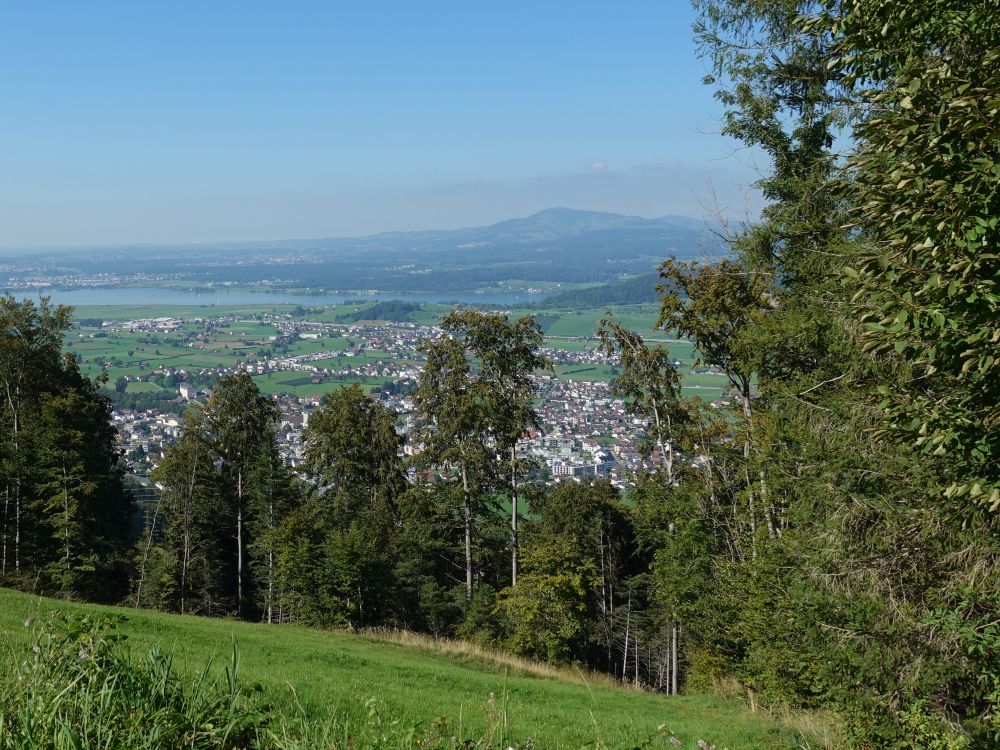 Siebnen und Zürichsee