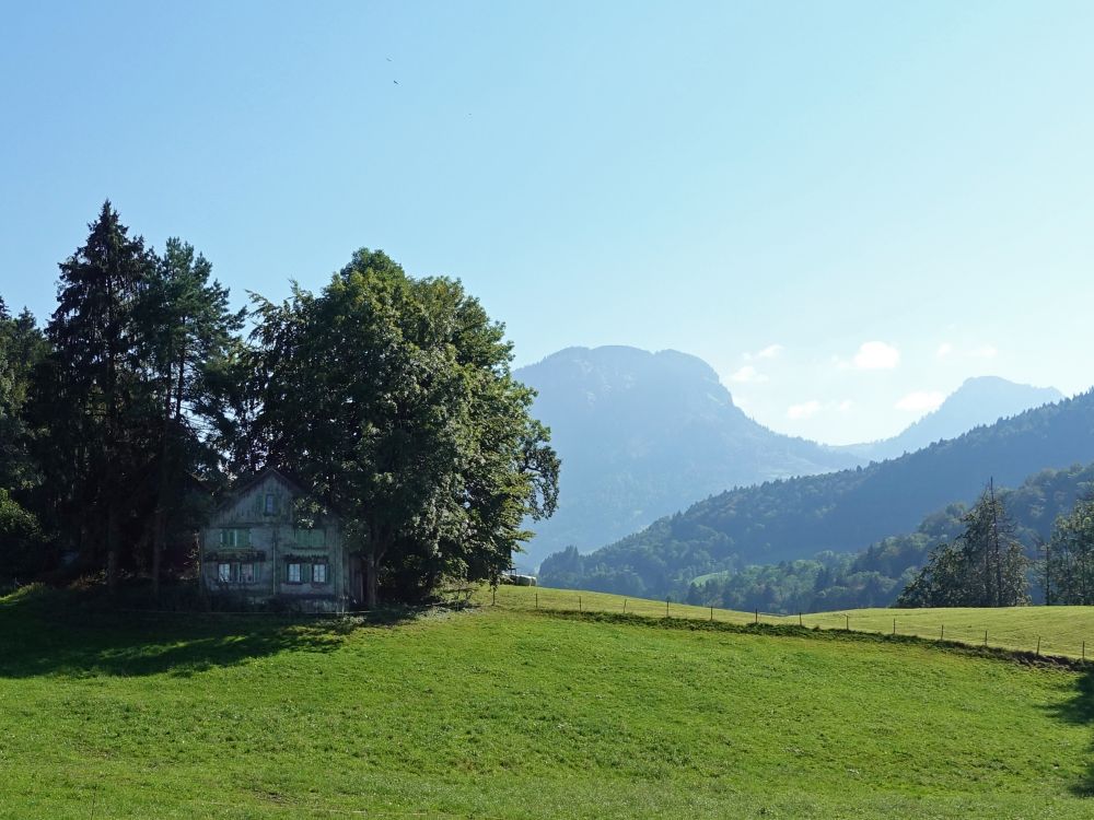 altes Haus mit Grossem Aubrig