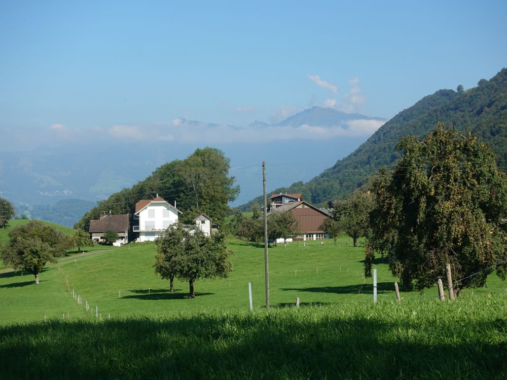 Bauernhöfe bei Siebnen