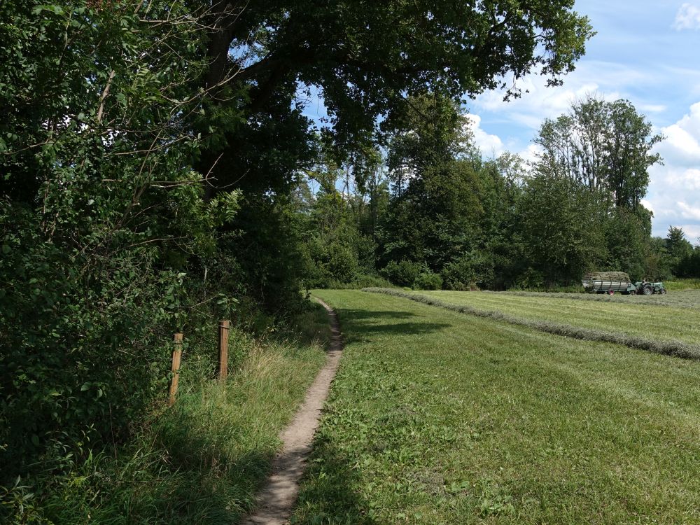 Pfad Nähe Sportplatz