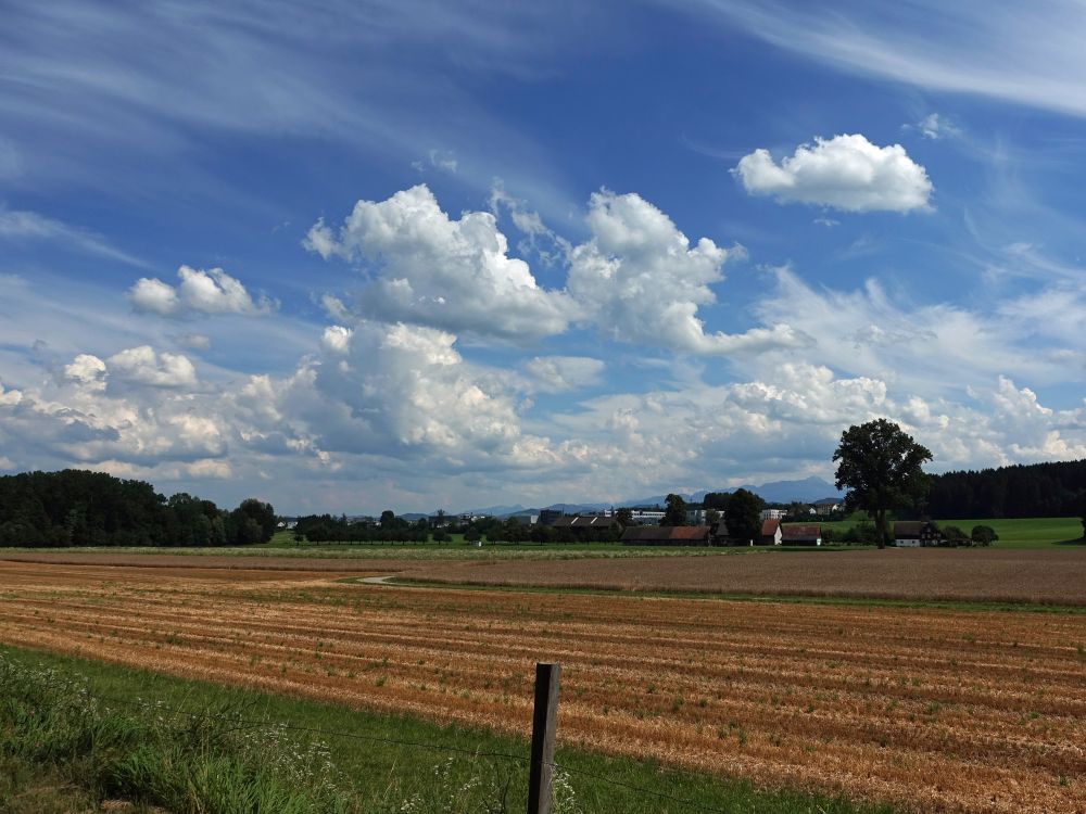 Blick Richtung Henau