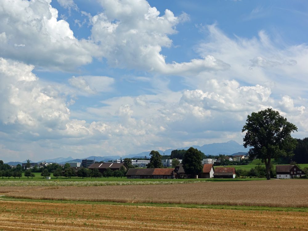 Blick Richtung Henau