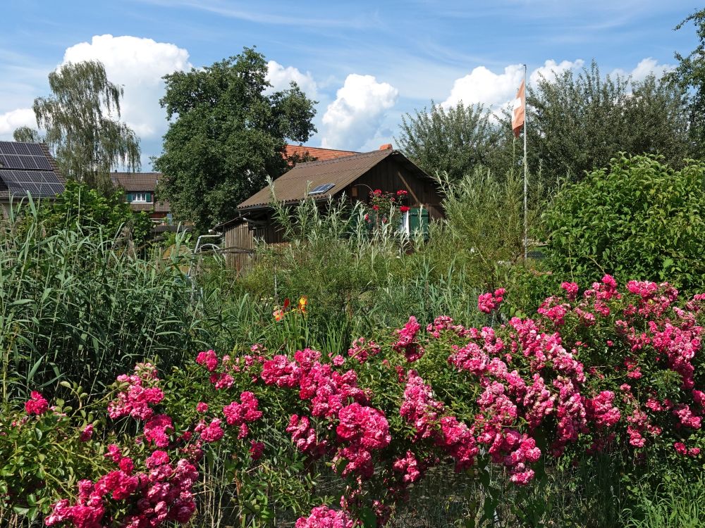 Gartenhäuschen in Weieren