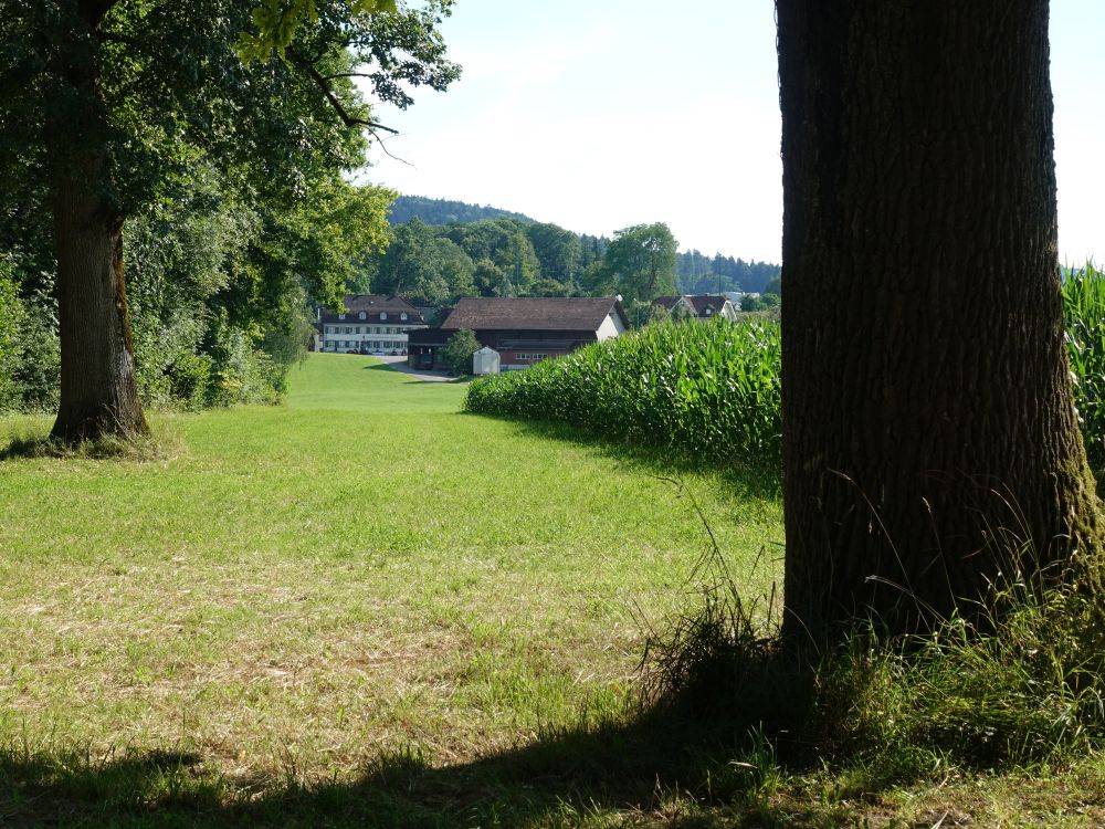 Gasthof Schwarzenbacher Brücke