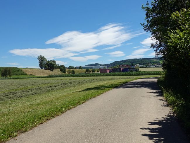 Blick Richtung Jonschwil