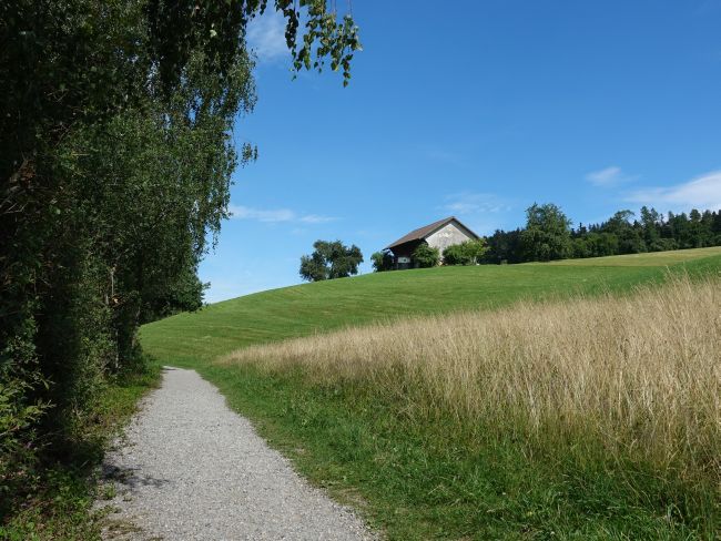 Wanderweg am Weiherufer