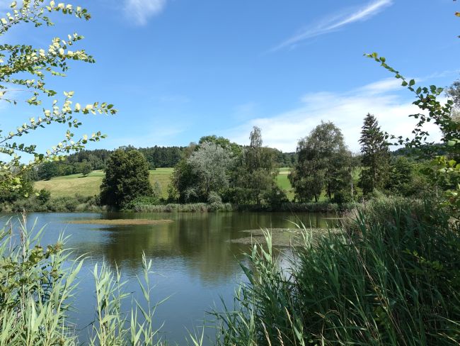 Oberutzwil Bettenauer Weiher