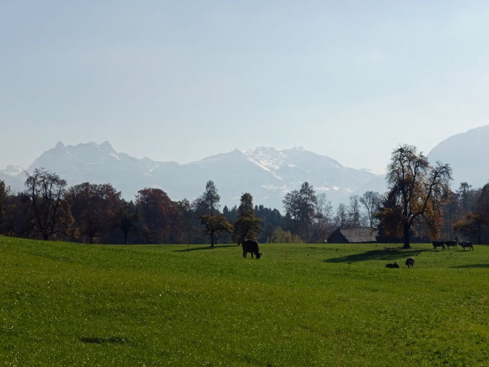 Mürtschenstock, Fronalpstock und sCHILT