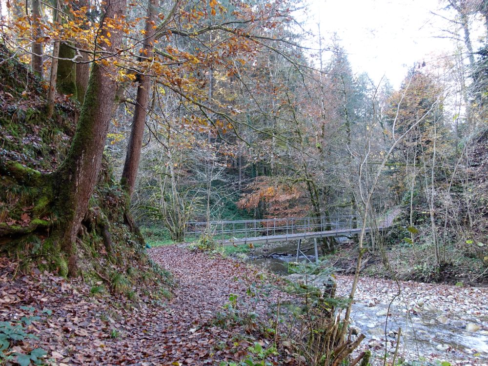 Steg im Aabachtobel