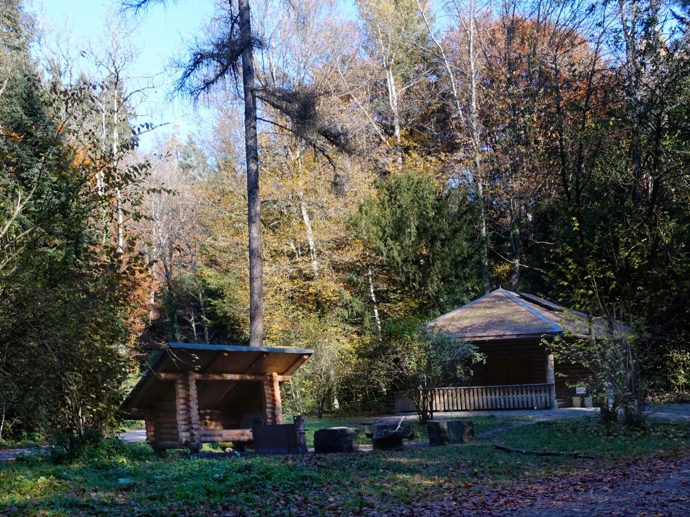 Grillplatz im Buechenwäldli