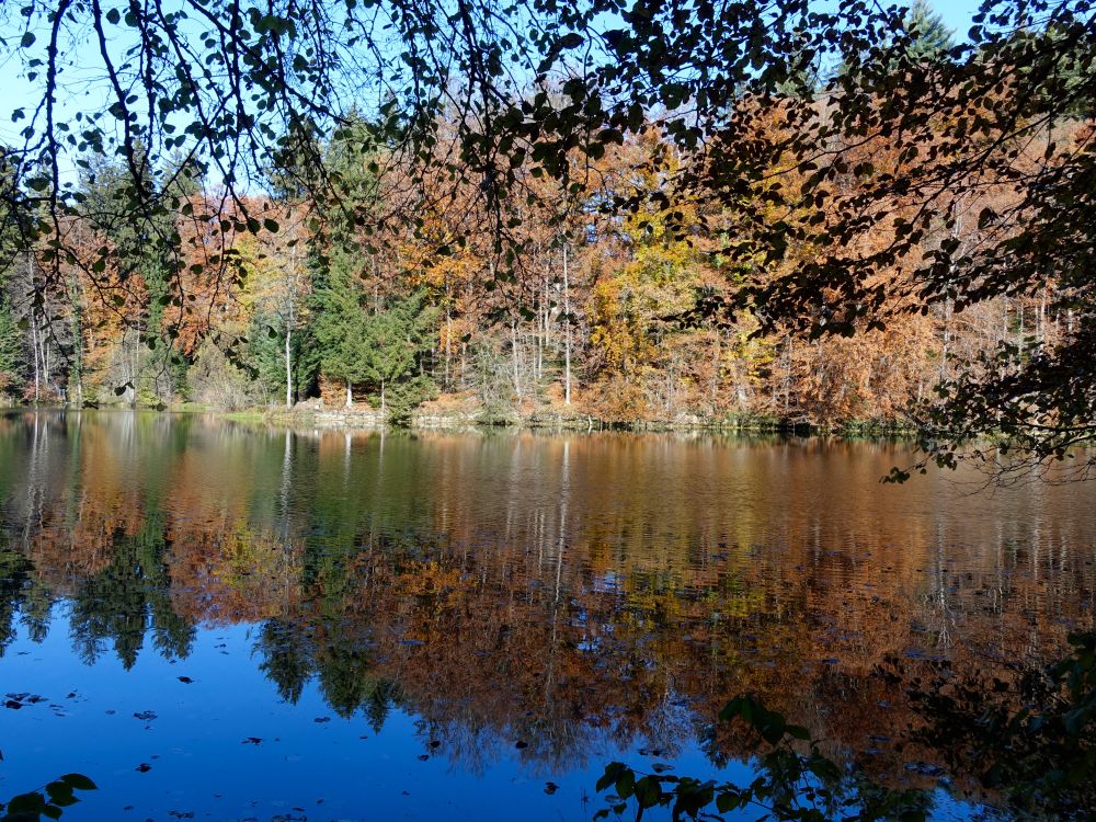 Herbstfarben am Fabrikweier