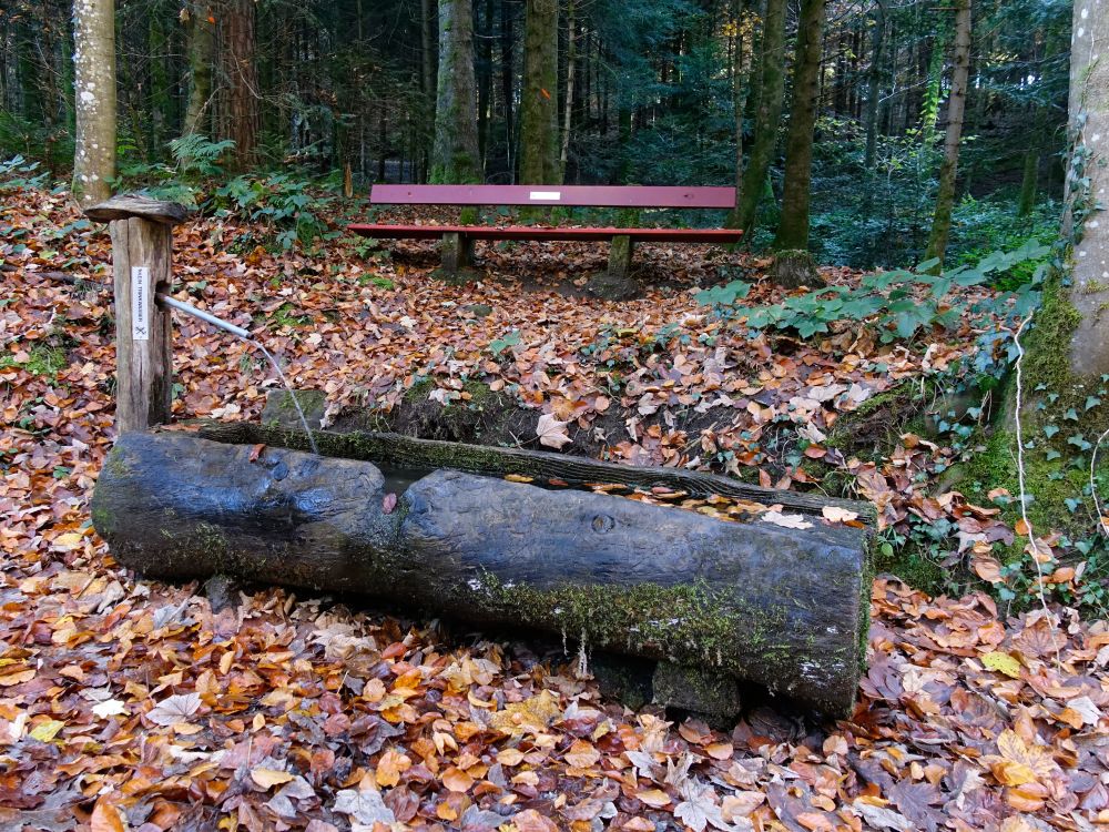 Brunnen und Sitzbank