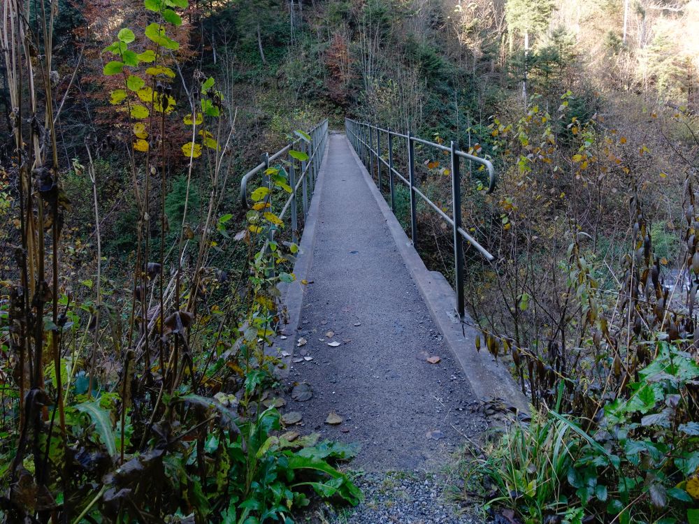 Steg im Hebeltobel