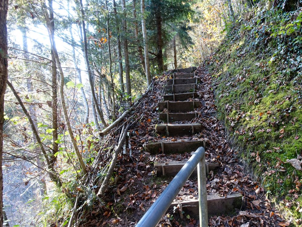 Treppe im Hebeltobel