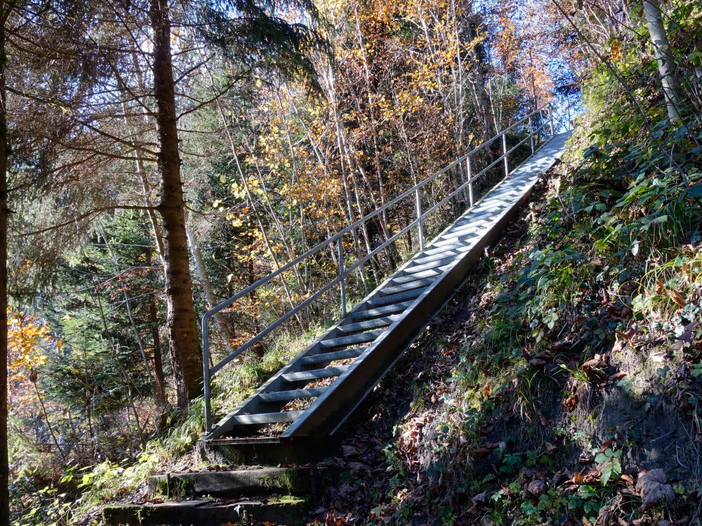 Treppe im Hebeltobel