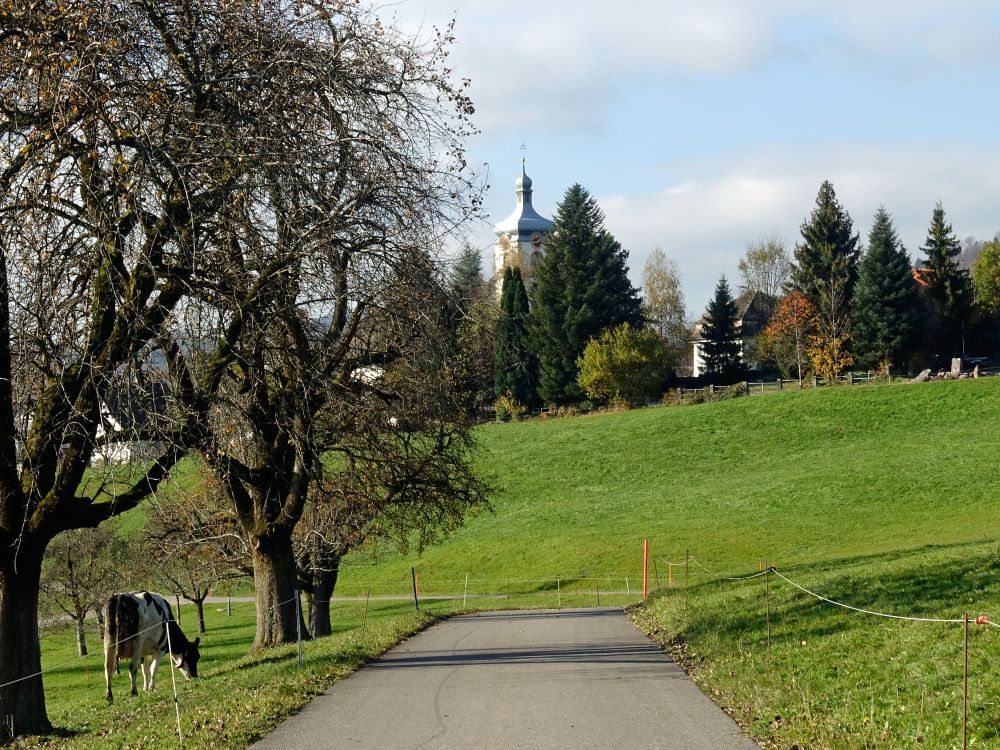 Kirchturmspitze von St. Gallenkappel