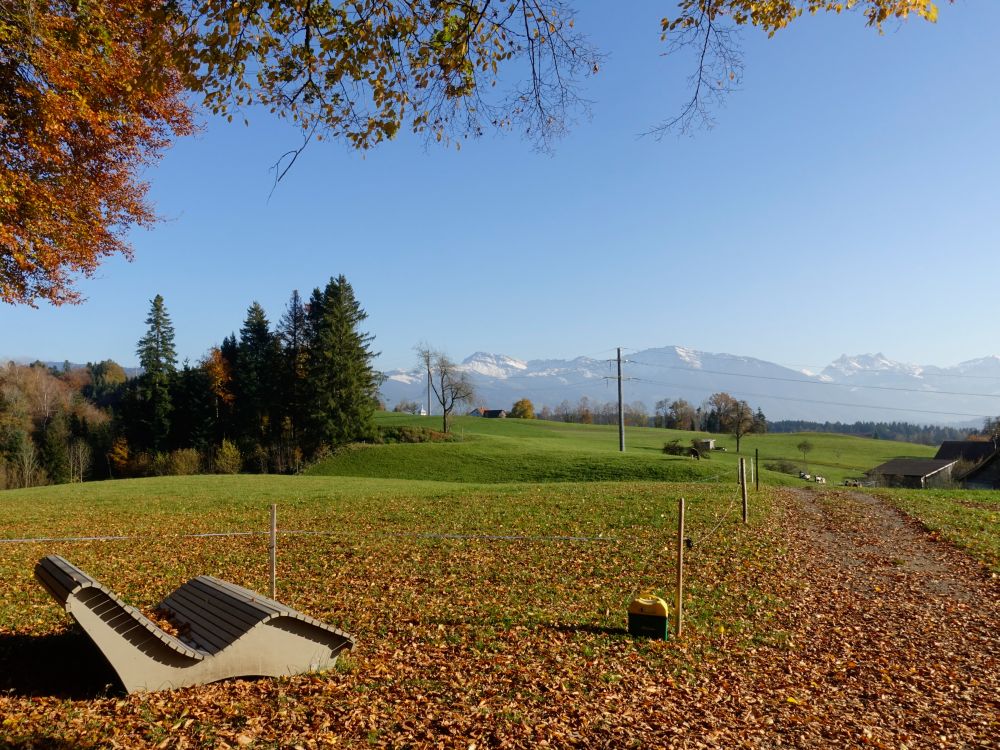 Liegebank mit Blick zum Federispitz