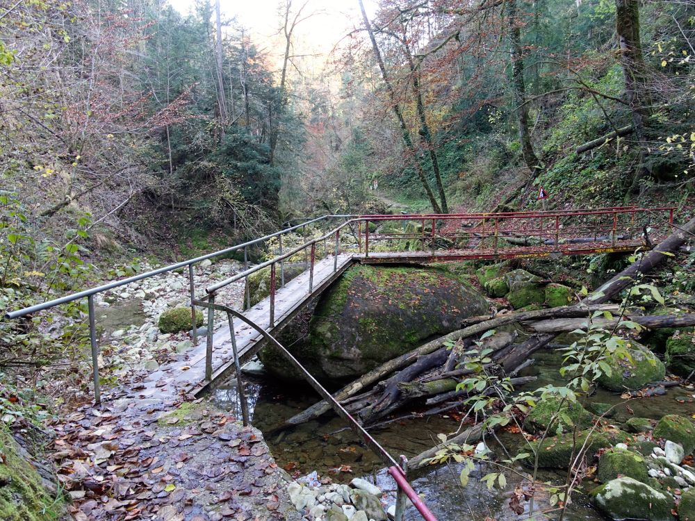 Steg im Neuhüslerobel