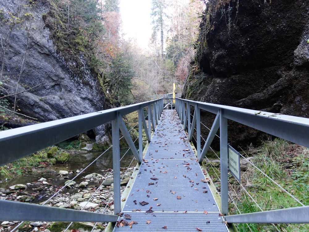 Steg im Neuhüslerobel