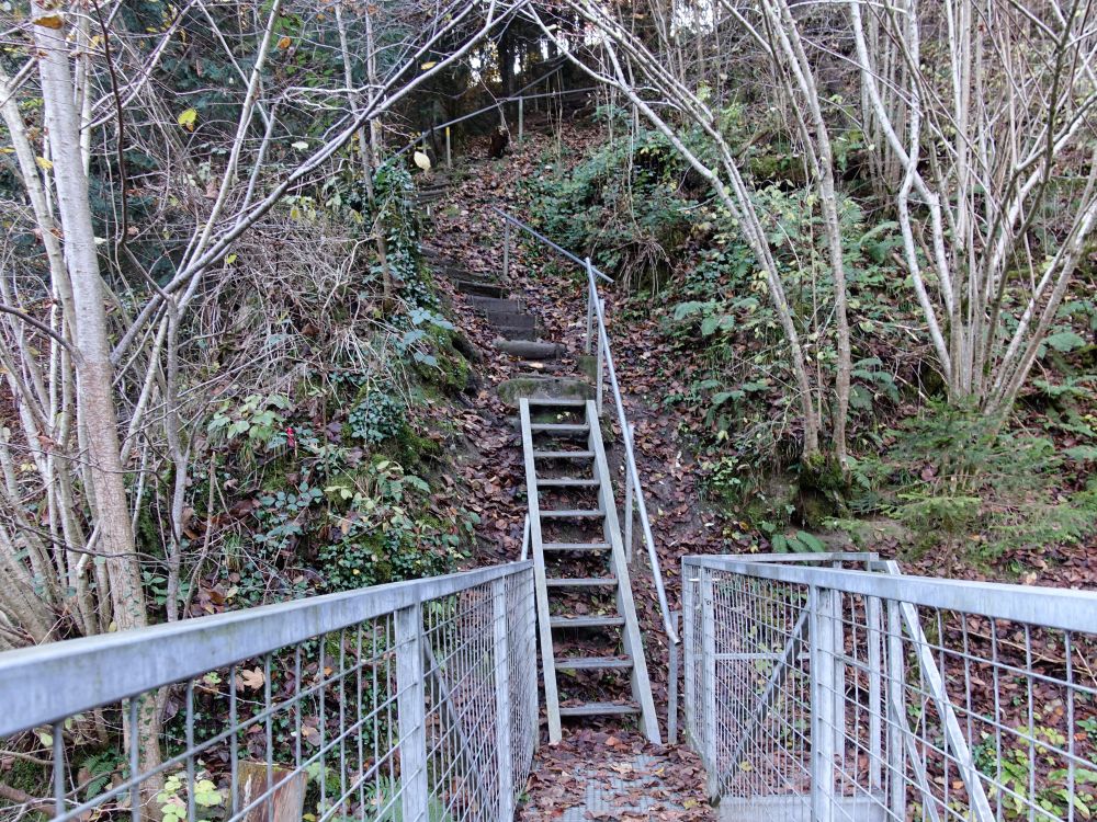 Treppe im Neuhüslerobel